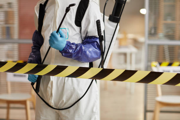 Professional Hoarding Cleanup technician working in Chester, CA